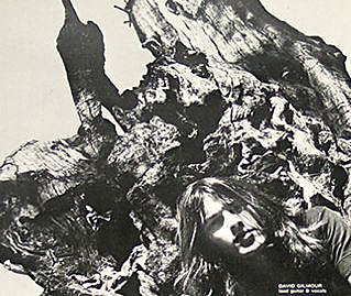 David Gilmour by the Elfin Oak