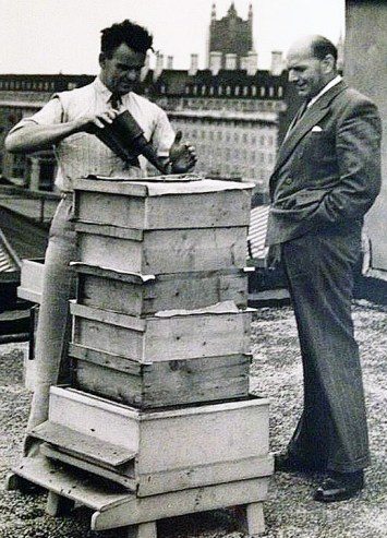 One of Waterloo's bee hives.