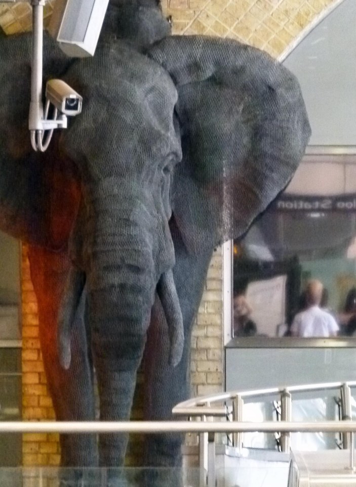 Waterloo's Elephant