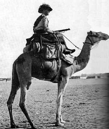 An Australian soldier with his loaded camel